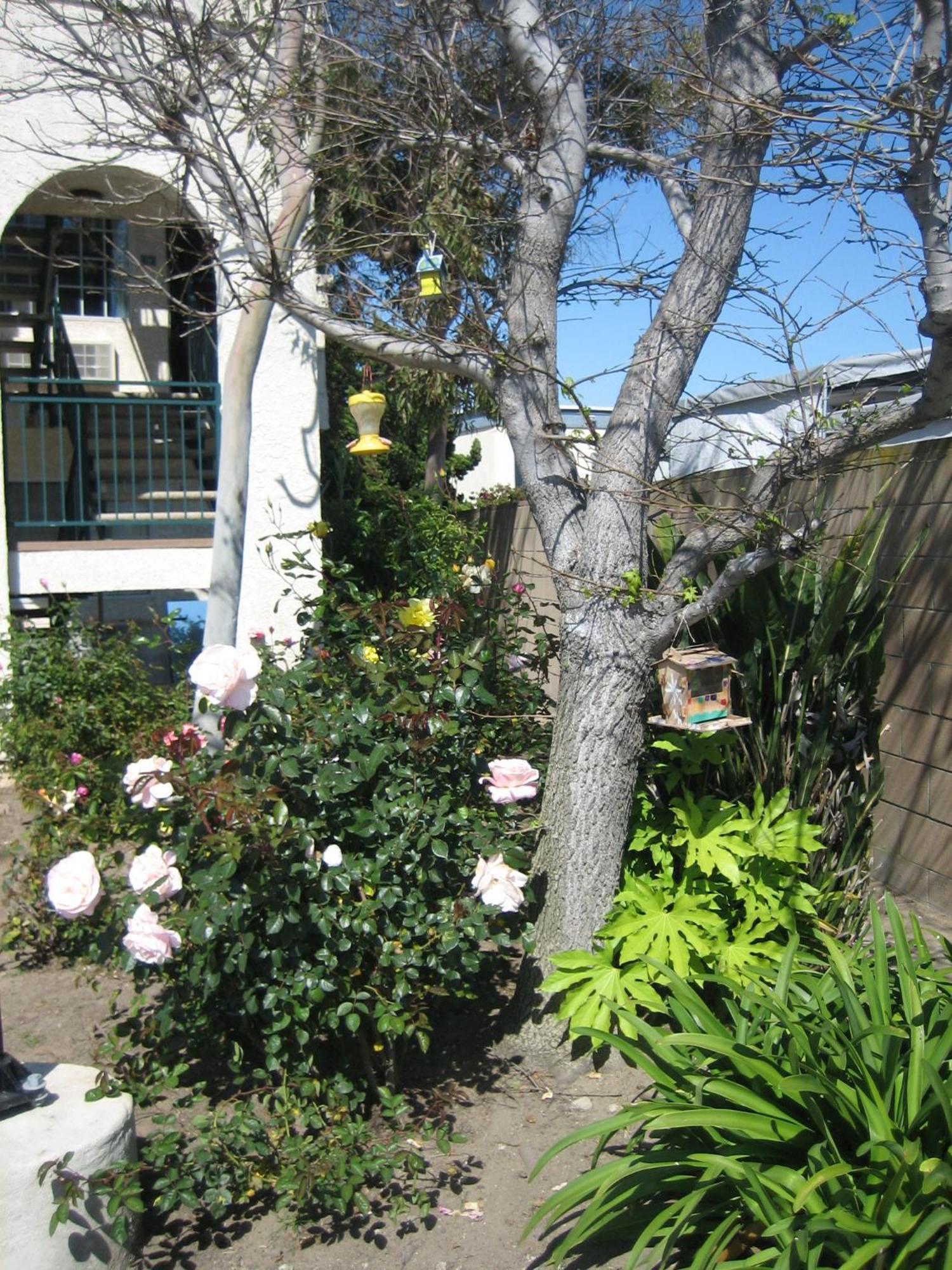 Oceanview Motel Huntington Beach Eksteriør bilde