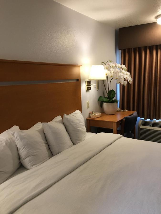 Oceanview Motel Huntington Beach Eksteriør bilde